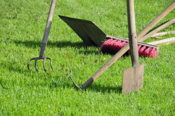 Gartenpflege: Strauchschnitt, Heckenschnitt, Rasen- und Beetpflege